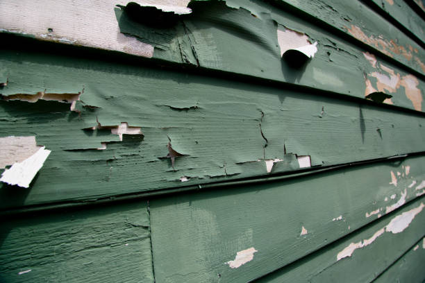 Best James Hardie Siding  in Laingsburg, MI