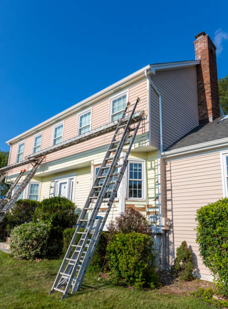 Best Siding Painting and Refinishing  in Laingsburg, MI