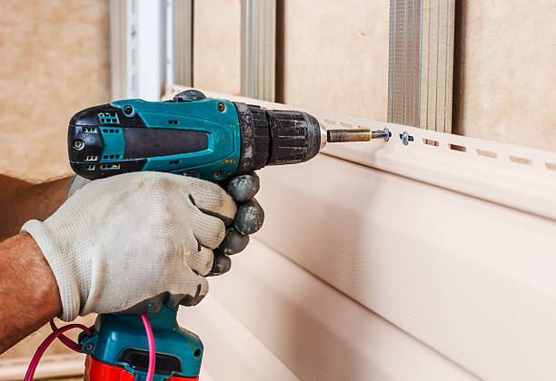 Best Fascia and Soffit Installation  in Laingsburg, MI